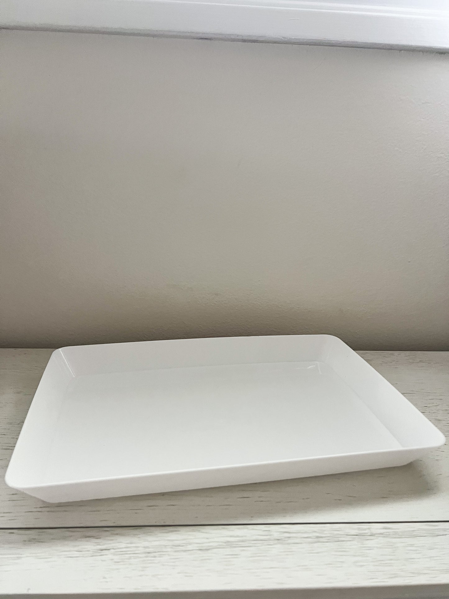 Large Craft Tray