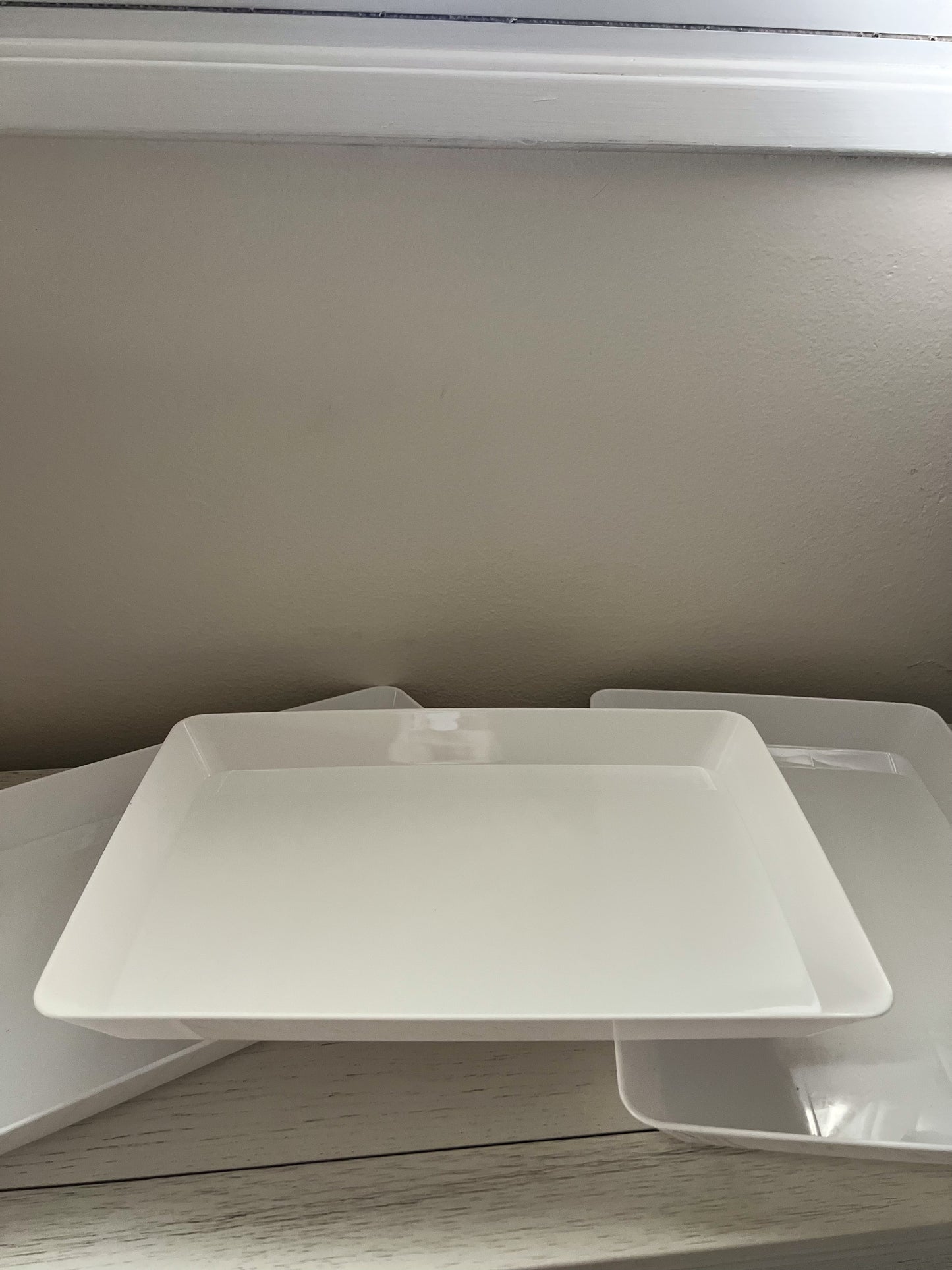 Large Craft Tray