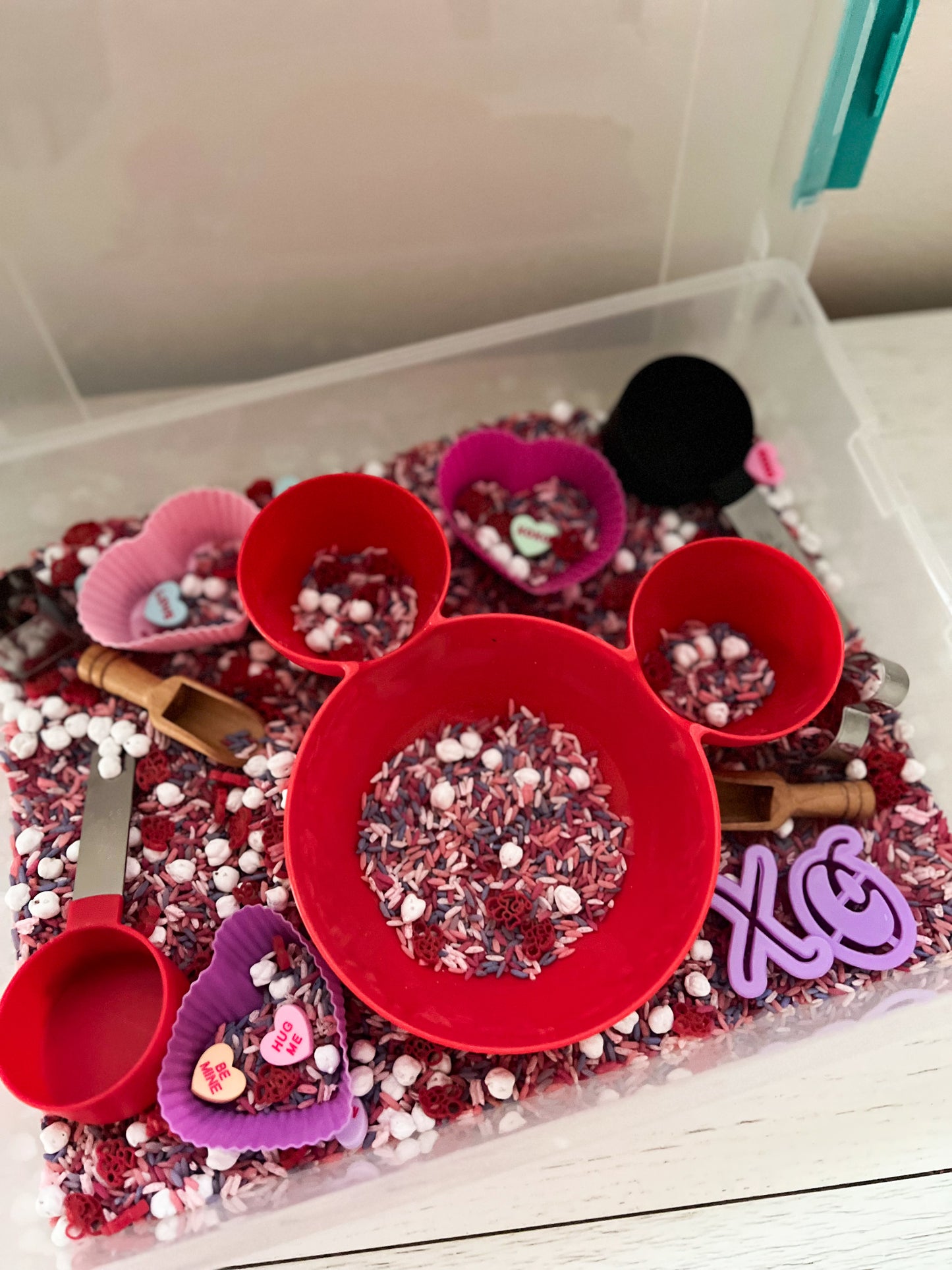 Sensory Bin Container with Lid