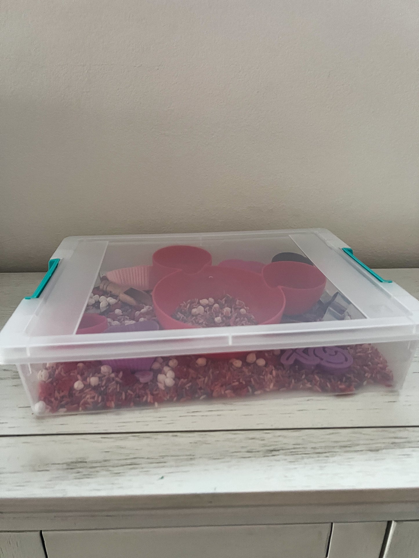 Sensory Bin Container with Lid
